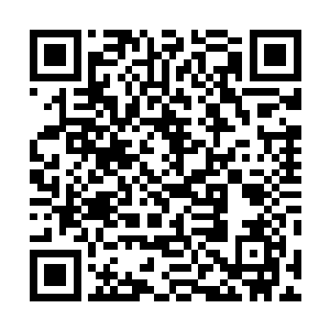 乐南直盯盯的看向学校门口被众多学生们牢牢围住的身形二维码生成