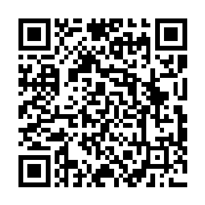 乐呵呵的掌控雪橇带着老婆在雪地里摔得完全陷进雪层里二维码生成