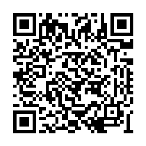 乐和确信没有自己系统的人在东京执行其他任务二维码生成