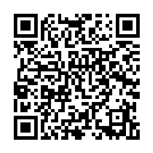 乐琳大人又能挡得住那家伙和叶尔夏提的联手吗二维码生成