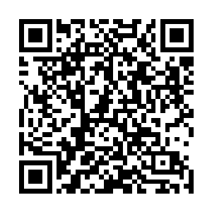 乔伊和伊斯拉则是立刻跑到了绳子旁边直接快的拉起了绳子二维码生成