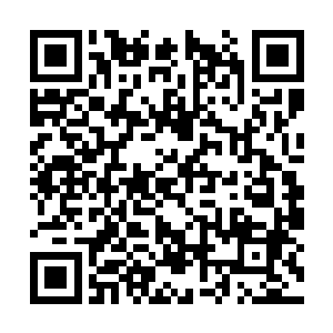 乔振飞这两天都没有打扰秦方和唐菲菲的二人世界二维码生成