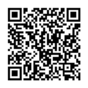 乔斯德里克看到那个可恶的魔鬼已经逃到了城墙下面二维码生成