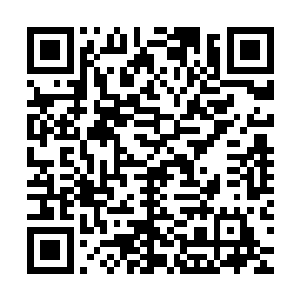 乔治显然花了很大的精力去全方位评估自己在这世上唯一的孩子二维码生成