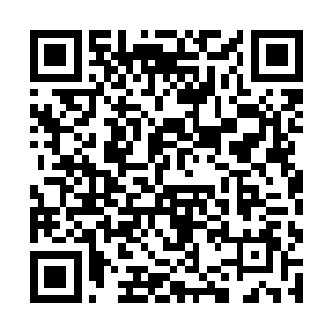 乔荞一直都羡慕人家那种孩子三四岁的头发就很长的二维码生成