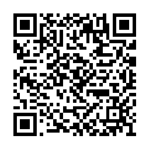 乔荞不知道这个世界上做生意到底是难还是不难二维码生成