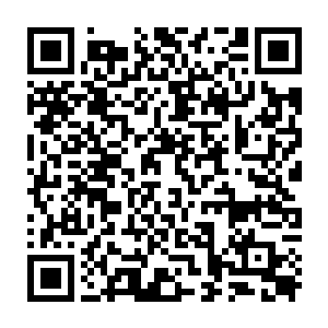 乔荞吃了半个鸡蛋吃了一片面包外加几个蔬菜叶子几个小西红柿喝了半杯的果汁二维码生成