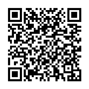 乔荞拿着盘子把自己眼前的这条放到盘子里推到天娜的眼前二维码生成