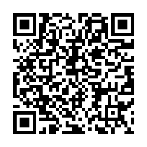 乔远帆将那盆曾经让全世界兰花界都震撼的剑兰放在了墓中二维码生成