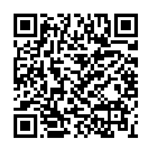 乔远帆拒绝了国际兰花协会颁发给他的荣誉证书二维码生成