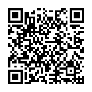 乖乖把她的手机从被子下面掏出来放在了邓铮手里二维码生成