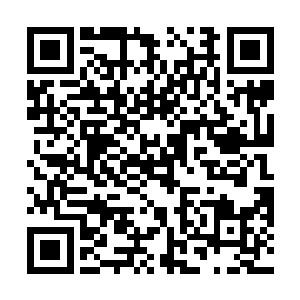 乘万里当初可是能够和星域宗宗主尚道一战的人物……二维码生成