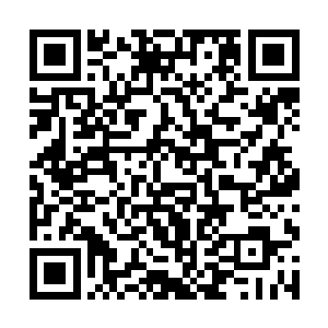 乙方则是代写的户主及家庭成员的姓名与各自按手印二维码生成