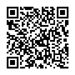 九个煞傀娃娃还真是扛住了琉璃塔释放出来的浩然正气二维码生成