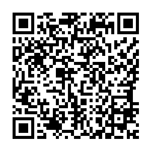 九个百族圣级九层后期巅峰大修士向着那个拳头大小的修士扑击了过去二维码生成
