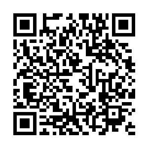 九人联手自然也是非常干脆地灭掉了四只可怜的豺狼人二维码生成