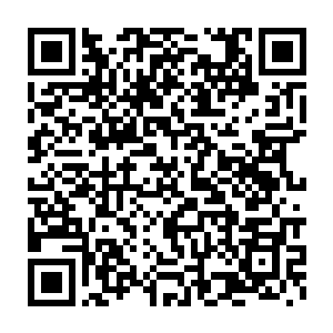 九十年代垃圾摇滚和新金属摇滚的璀璨就成为了夜空里最后的一抹亮光二维码生成