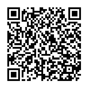 九品火莲和十二都天神煞大阵所积累的盘古血气所制造出来的全力一击这么可怕二维码生成