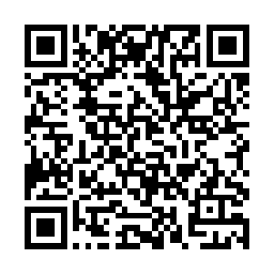 九品的紫sè的莲台是龙傲天从混沌紫莲里面取出来的二维码生成