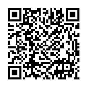 九域修士的骄傲让他们不屑与张潇晗做口舌之争二维码生成