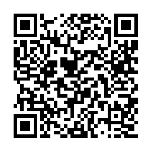 九大宗主的目光一下子就聚焦在那个弟子的身上二维码生成