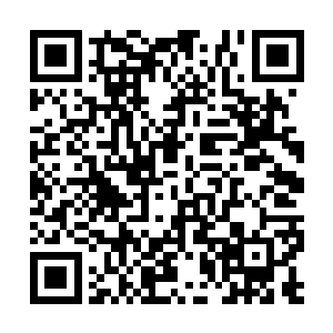 九大神国只是依次镇压着不太重要的羽毛以及四肢二维码生成