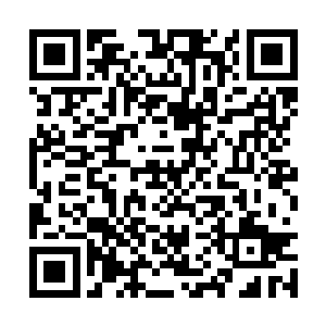 九天玄女这段时间一直在潜心教导自己的徒弟囡囡二维码生成