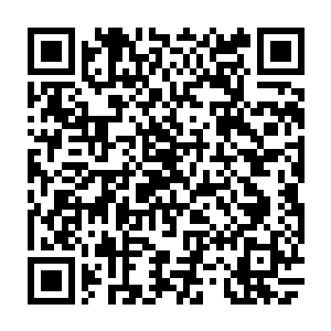 九头圣王以血脉天赋所催动的各种元素能量攻击虽然蕴含着很强的破坏力二维码生成