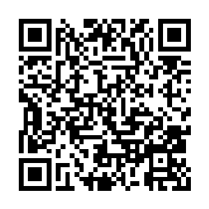 九头蛇虚影的气血真形终究被那一团精血吸收掉二维码生成