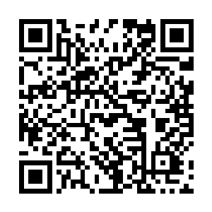 九头身后的魔宗弟子弯腰将梦幻玉丢掉的烤鸡捡了起来二维码生成