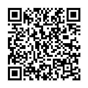 九姐小心翼翼的将这血泊珠送到了忘忧婆婆面前二维码生成