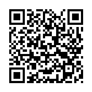 九帝家族不会做出如此歹毒丧尽天良的事情二维码生成