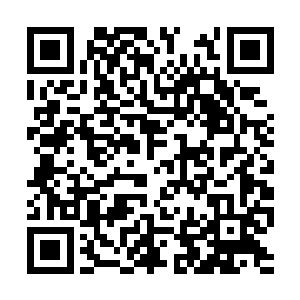 九帝家族最尊贵的公子看见他绝对会恭恭敬敬行礼二维码生成