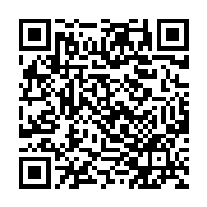 九幽魔主也直接顺着龙傲天的气息的方向追了了上去二维码生成