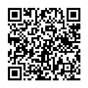 九弟到了南界第一天晚上就拿下八哥几年都没能拿得下的沙平城二维码生成