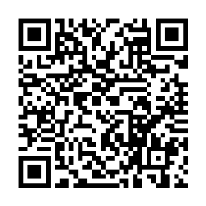 九心莲的贡献竟然能让他眨眼功夫就达到500象巨力二维码生成