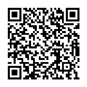 九条近百米长的巨大的龙魂从光柱之中飞射而出二维码生成