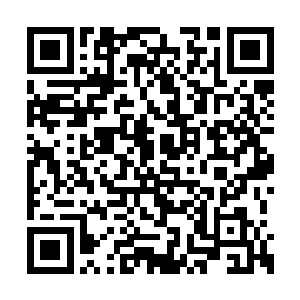 九条金龙和九条银龙不甘地嘶吼着回到九龙盏中二维码生成