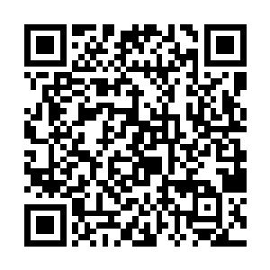 九灯会在公众号和wei博上发布和各位大神会面的照片二维码生成