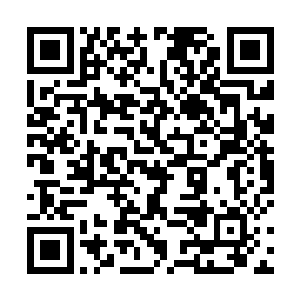 九灯只能用给力的更新和更精彩的剧情来回报各位书友二维码生成