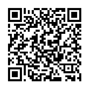 九牧就领着二十多名九天圣宫弟子动身赶往炼狱之海二维码生成