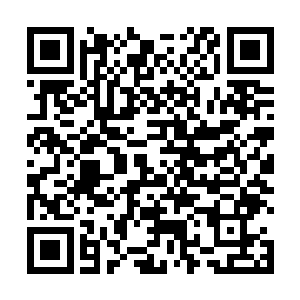 九界山的崩溃透过联系着九个世界的神剑影响到了初界二维码生成