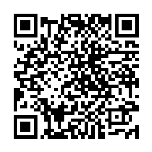 九界山的神王他们就是因为这个才被东皇大帝控制的二维码生成