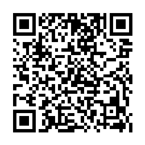 九真干尸般的脸上浮现一抹看似狰狞的欣慰笑意二维码生成