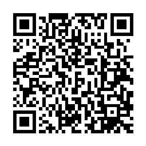 九级的魔化傀儡锲而不舍的跟着张铁从被震碎的墙壁之中跳出来二维码生成