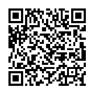 九组的教官也将任务奖励带了回来都是上品灵石二维码生成