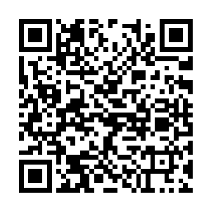 九组的教官也被夏天的变态程度给深深的震撼到了二维码生成