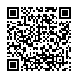 九组的教官握紧了自己的拳头直接打向了夏天他们几个二维码生成