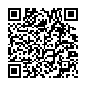 九转期并不是让人的五脏六腑变得和灵体同档次二维码生成