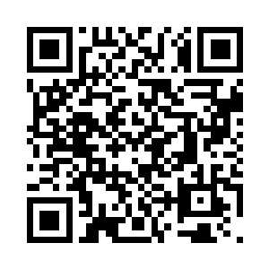 九辆亮着灯光的汽车分散着停在岸边二维码生成